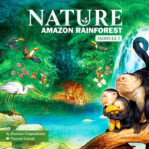 Nature: Amazon Rainforest (Module 5)